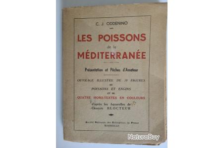 Informations - Pêche aux petits poissons des chenaux - Centre de pêche