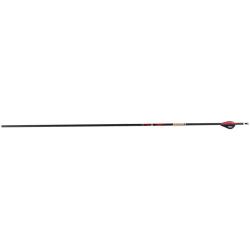 Fl&egrave;che Sanlida Dragon 10 carbone 6.2 (0.001) 450 32''