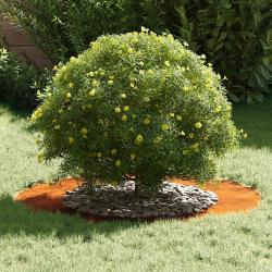 Vase en Acier Corten Acier Corten Grand Incrustations D&eacute;coratives