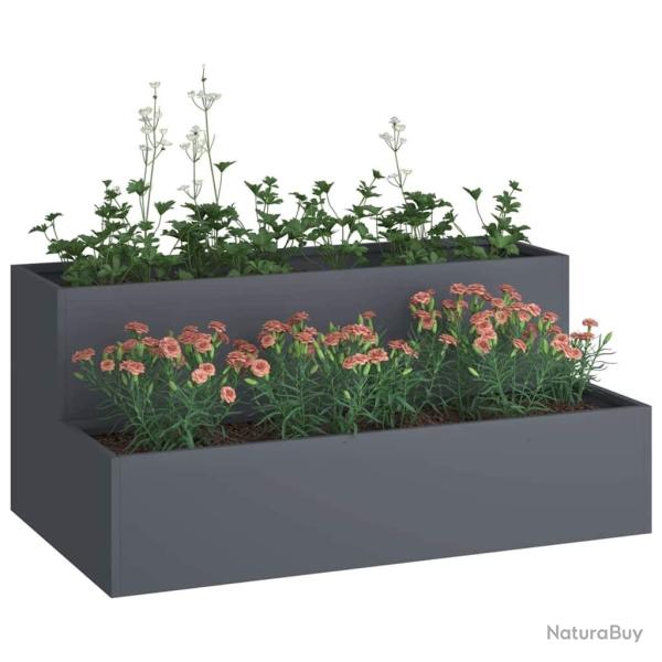 Jardini�re de jardin 2 niveaux 100x60x45 cm Anthracite Plastique