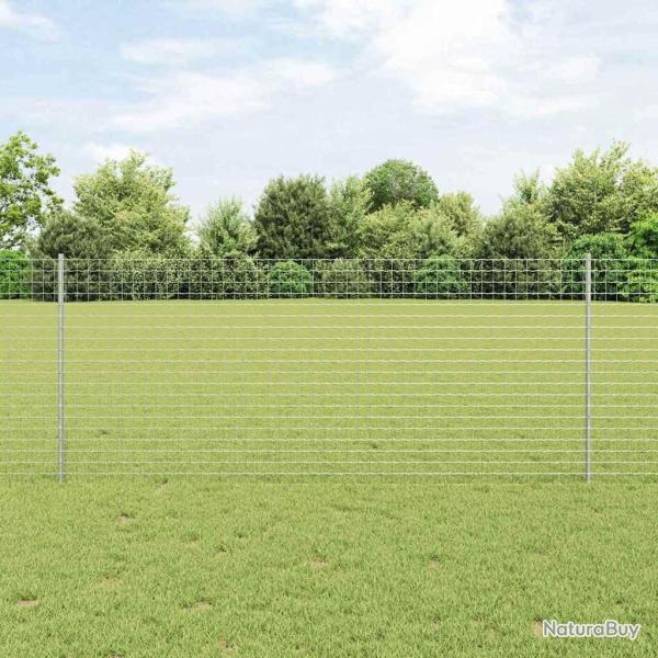 Cl�ture Euro avec 10 poteaux Argent 1x10 m Acier