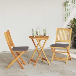 Chaise pliante avec coussin 2 pcs Marron Bois d'acacia massif