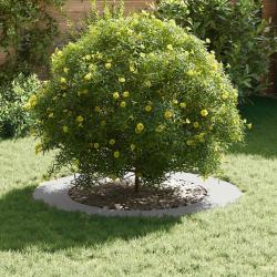 Jardini&egrave;res Blanches Blanches Plastique Grand Pliable