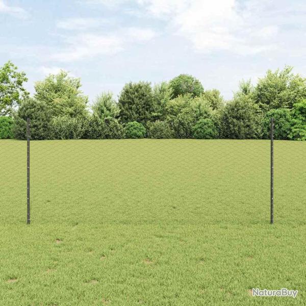 Cl�ture hexagonale avec 22 poteaux en U Grise 1x25 m Acier