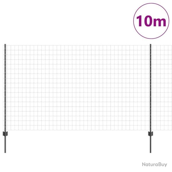 Cl�ture Euro avec 10 poteaux gris 1,4x10 m en acier