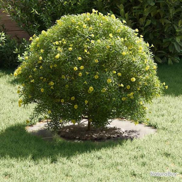 Jardini�re en acier inoxydable Acier inoxydable Moyen