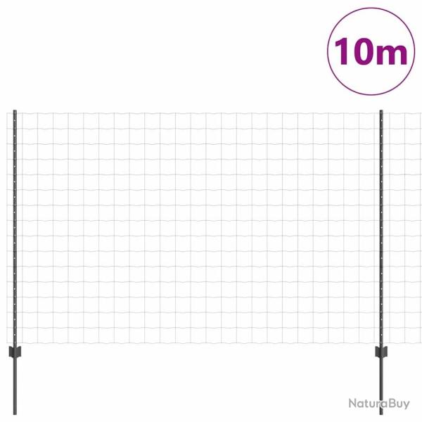Cl�ture Euro avec 10 poteaux gris 1,5x10 m en acier