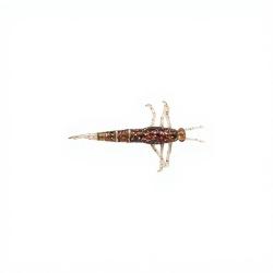 Leurre souple SAVAGE GEAR 3D PVC Mayfly 50 Brown glitter