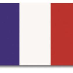 Drapeau Fran&ccedil;ais
