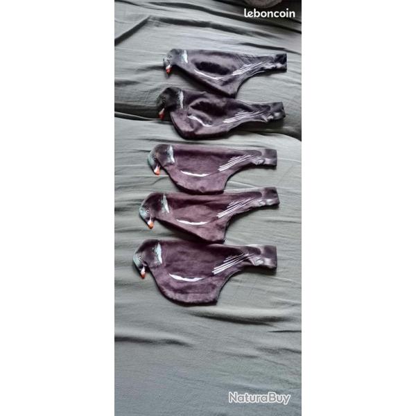 CHAUSSETTE 3D + APPELANT PIGEON