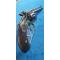 petites annonces chasse p&ecirc;che : RARISSIME, ÉTAT CONCOURS TARDIF SMITH-WESSON 44 TARGET PAR GASTINNE RENETTE 1er ARMURIER DE NAPOLEON