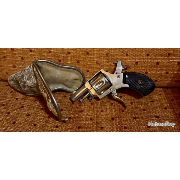 Rare revolver Bulldog calibre .320 avec tui d'poque