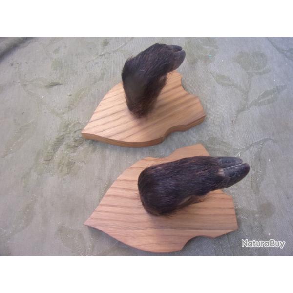 ratelier, porte-fusils  une arme pattes de sanglier