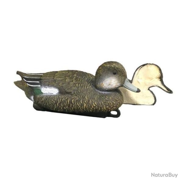 Appelant mousse siffleur Stepland - Femelle