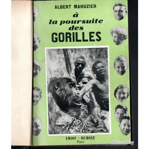 � la poursuite des gorilles d'albert mahuzier , afrique noire