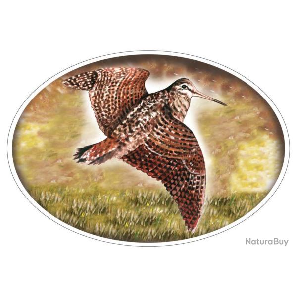 STICKER MARTIN NOUVEL BECASSE - HV DVPT