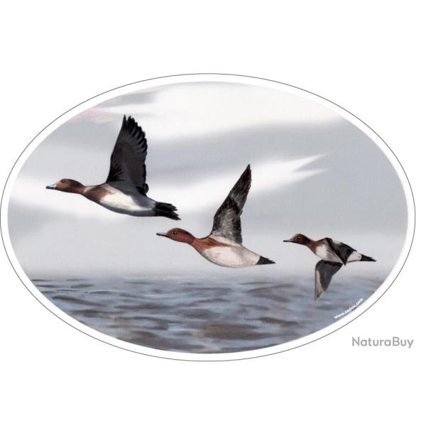 STICKER MARTIN NOUVEL SIFFLEURS - HV DVPT