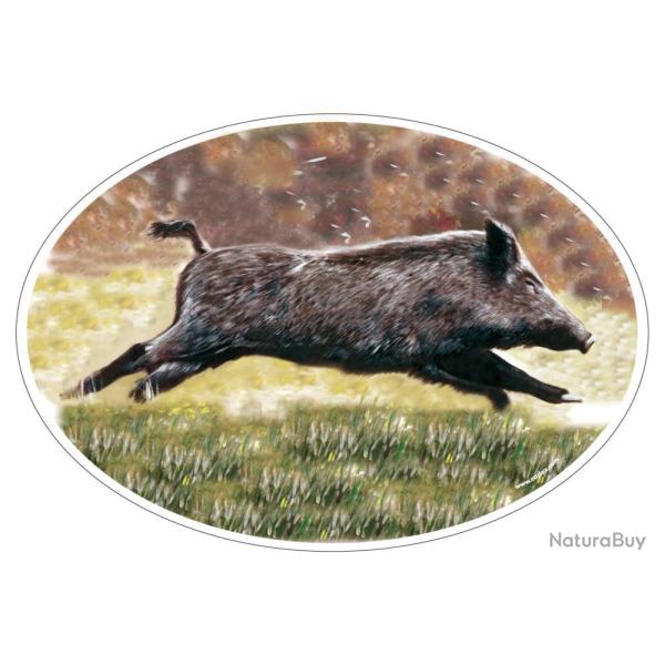 STICKER MARTIN NOUVEL SANGLIER - HV DVPT