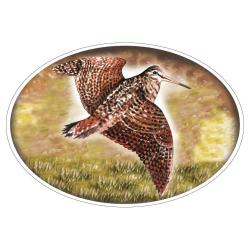 STICKER GRAND MODELE BECASSE - HV DVPT