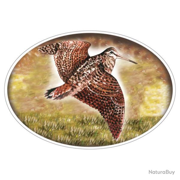 STICKER GRAND MODELE BECASSE - HV DVPT