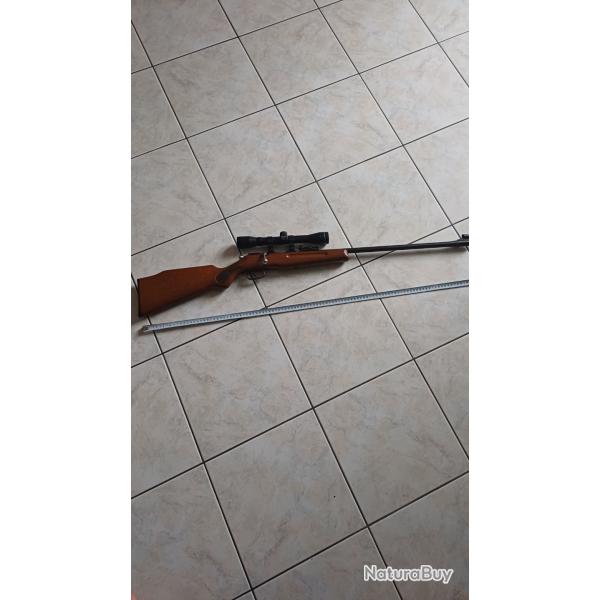 Carabine Manu-Arm 22lr