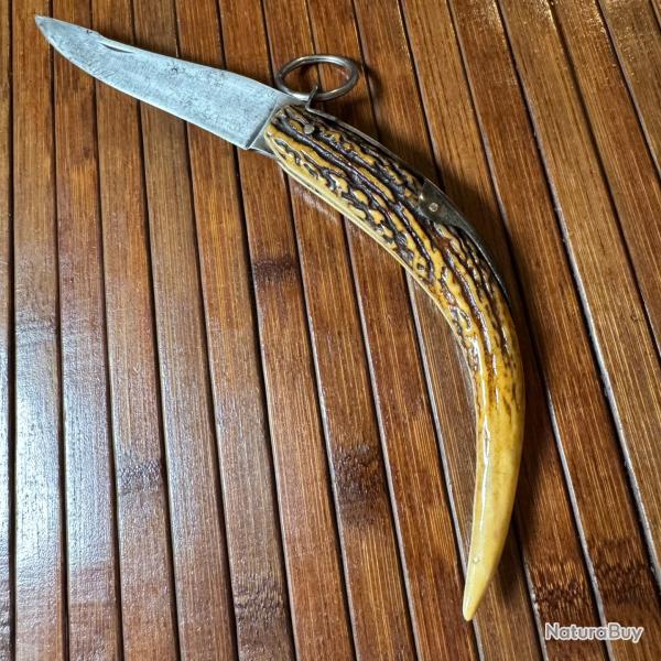 COUTEAU DE COLLECTION TARRY LEVIGNE A PALME MANCHE EN BOIS CEF FRANCE THIERS DEBUT 1900