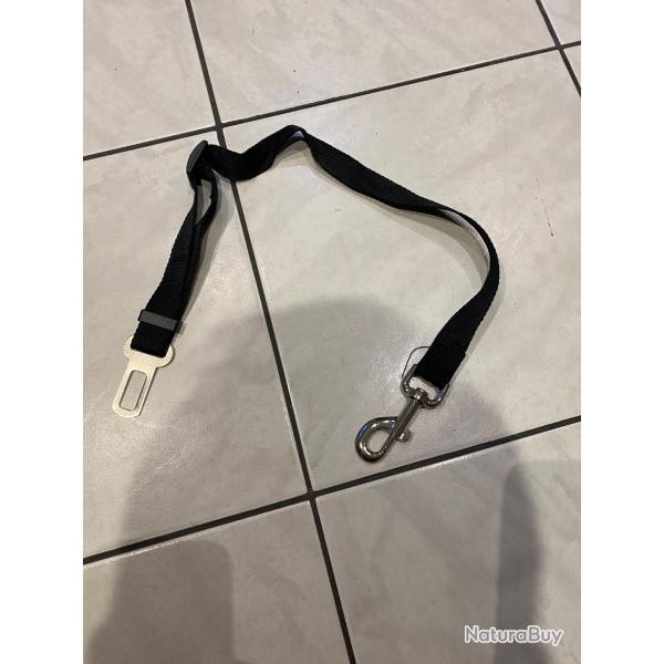 Laisse chien .. ceinture de s�curit�