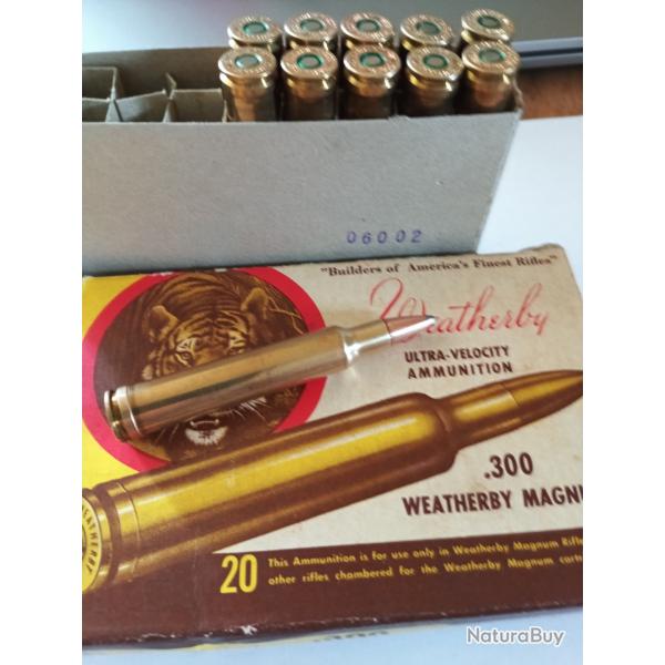 Munitions 300 weatherby Magnum 110 Grain