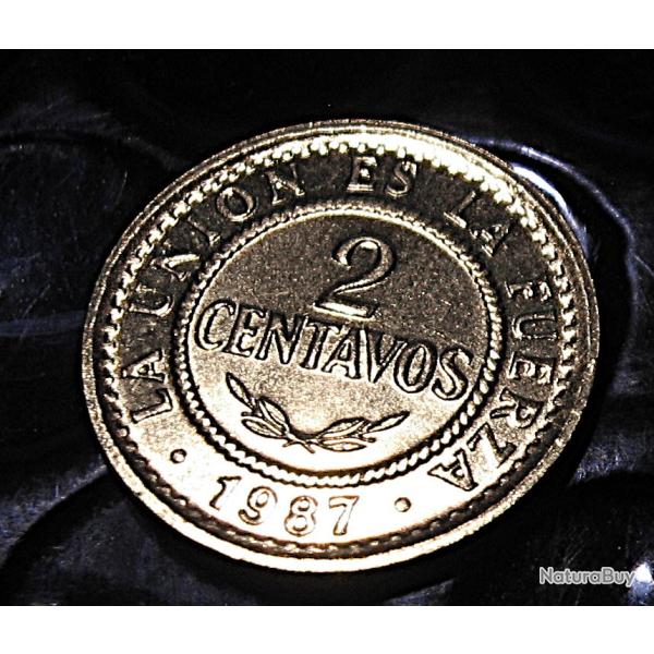 Bolivie piece de 2 centavos  1987  superbe