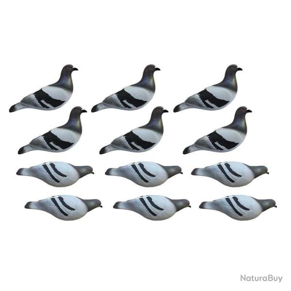 Formes de pigeon biset HD x12