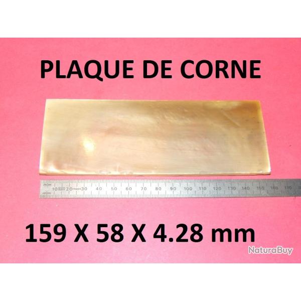 plaque de CORNE BLONDE - VENDU PAR JEPERCUTE (GE239)