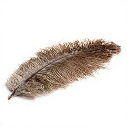 Plume d'autruche naturelle DEVAUX