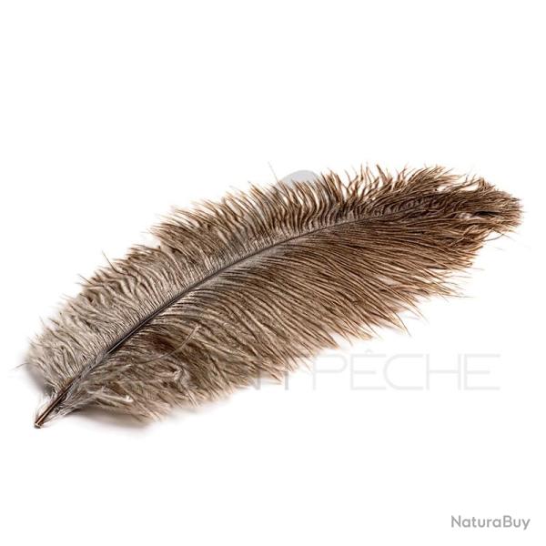 Plume d'autruche naturelle DEVAUX