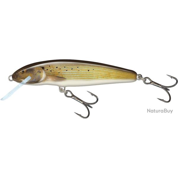 Poisson Nageur Salmo Minnow Coulant 7cm 7cm 8g Grayling