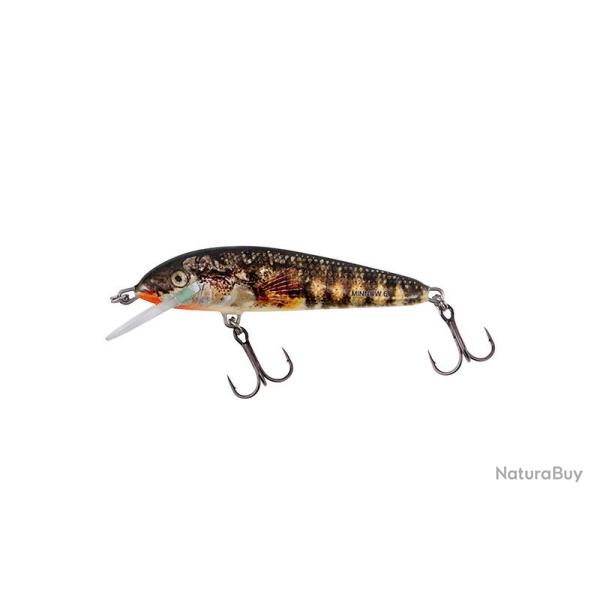 Poisson Nageur Salmo Minnow Coulant 7cm 7cm 8g Holo Stickleback