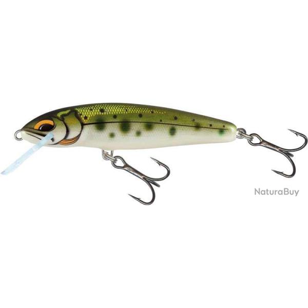 Poisson Nageur Salmo Minnow Flottant 7cm 7cm 6g Yamame Ayu
