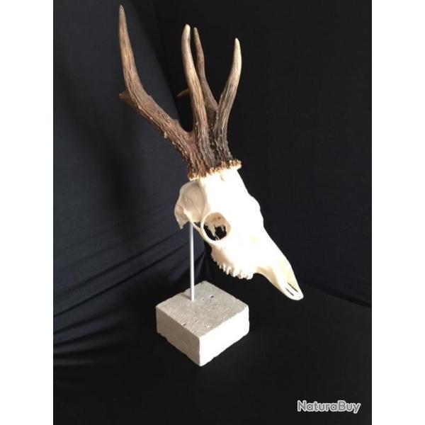 Support Pidestal en pierre pour Chevreuil Chamois N12