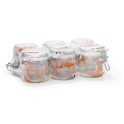 TERRINE LPS 200 GR D70 X6 - LE PARFAIT