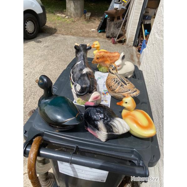 Lot animal r en fa�ence de cageant