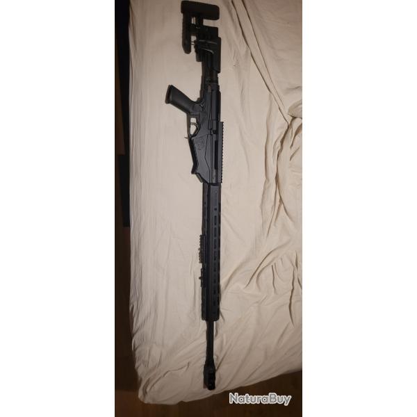 Carabine ruger precision rimfire 338lp