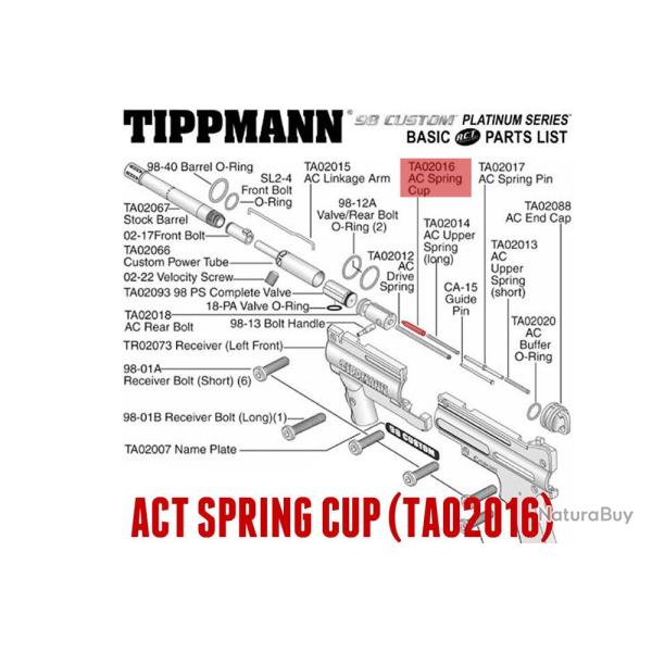 ACT spring cup-11693