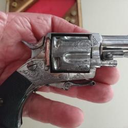 vends tres beau revolver bulldog  de luxe en cal 320  poudre noir prix en baisse