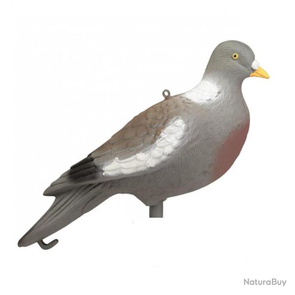 APPELANT PIGEON SANS PATTES - 