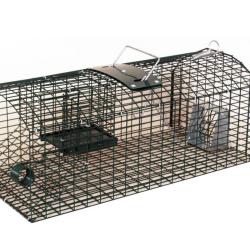 NASSE A RATS MULTIPRISES - TYCOON