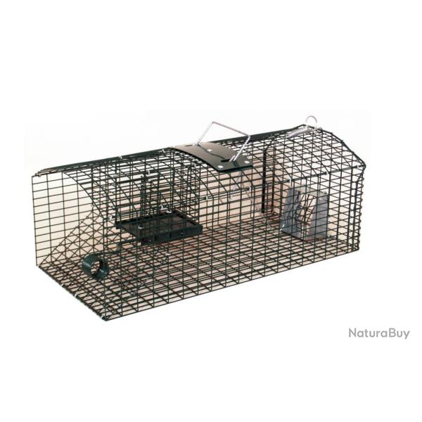 NASSE A RATS MULTIPRISES - TYCOON