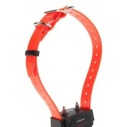 COLLIER SUPP CANICOM SANGLE ORANGE - NUM'AXES EDUCATION