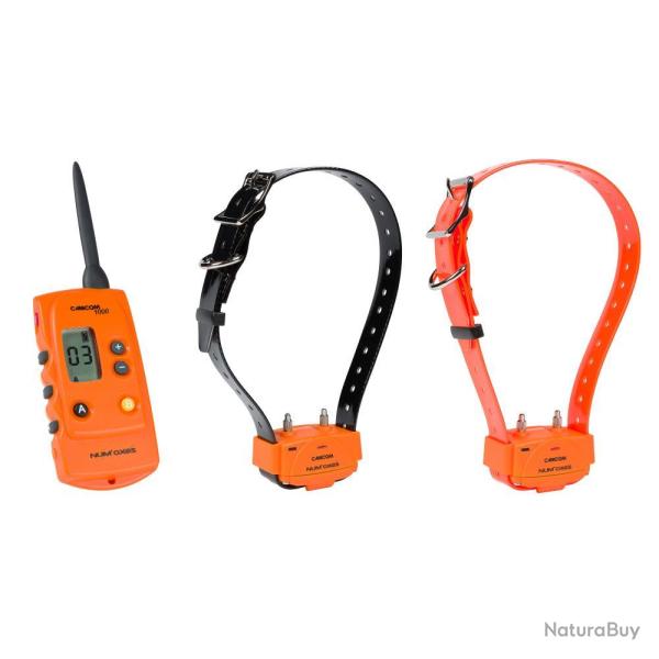 PACK CANICOM 1000 ORANGE - 2 CHIENS - NUM'AXES EDUCATION