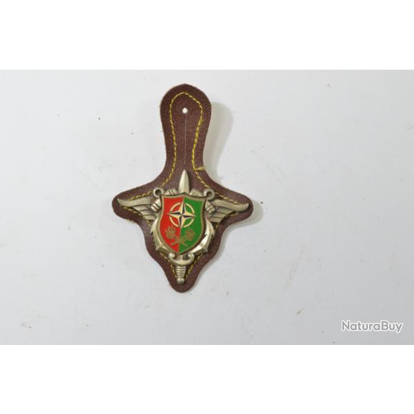 Insigne Groupe d'Exploitation des Oloducs 2e Division. DELSART H789, OTAN, 2 pontets