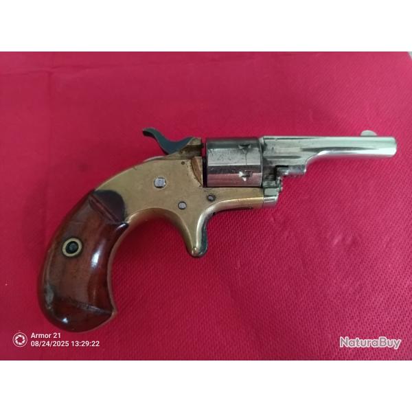 Colt open top 22.short