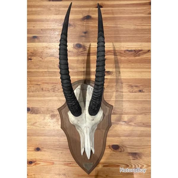 Massacre de KOBA - Burkina Faso